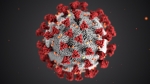 Informare EACEA în contextul pandemiei de coronavirus